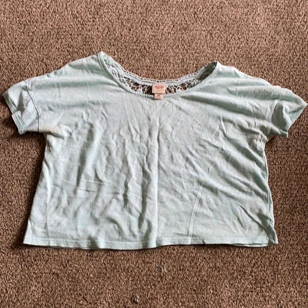 Mint Lace Crop Top